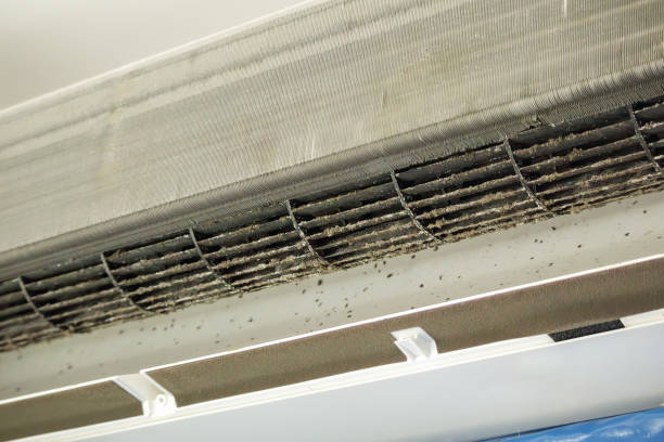 Professional Airduct Cleaning in Carlsbad, NM